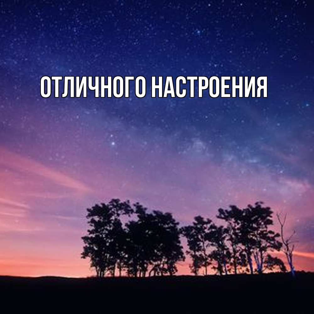 Открытка на каждый день с именем, Владислава Обнимашки силуэты деревьев Прикольная открытка с пожеланием онлайн скачать бесплатно 
