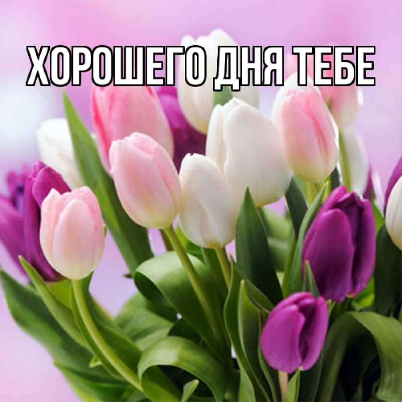 Картинка Люблю тебя, Гастон