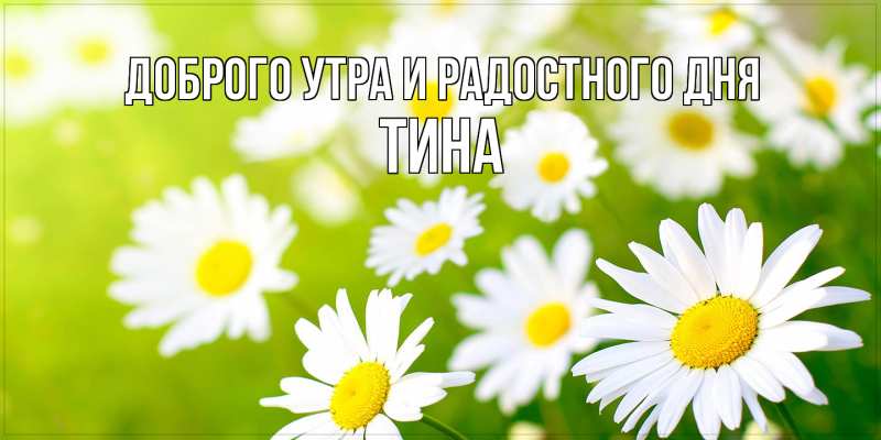 Картинка Доброго утра и радостного дня, Тина