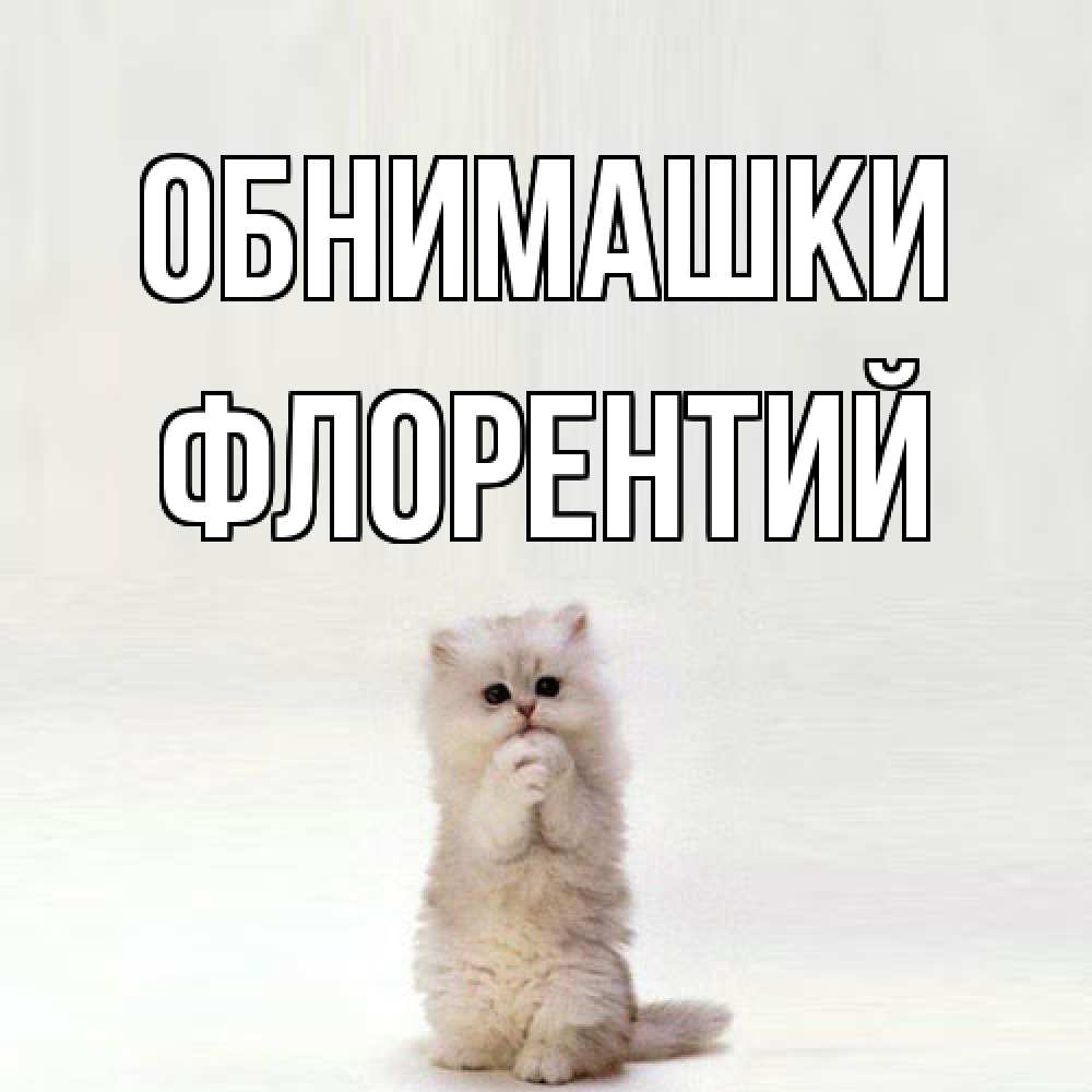 Открытка на каждый день с именем, Флорентий Обнимашки открытки с креативными подписями Прикольная открытка с пожеланием онлайн скачать бесплатно 