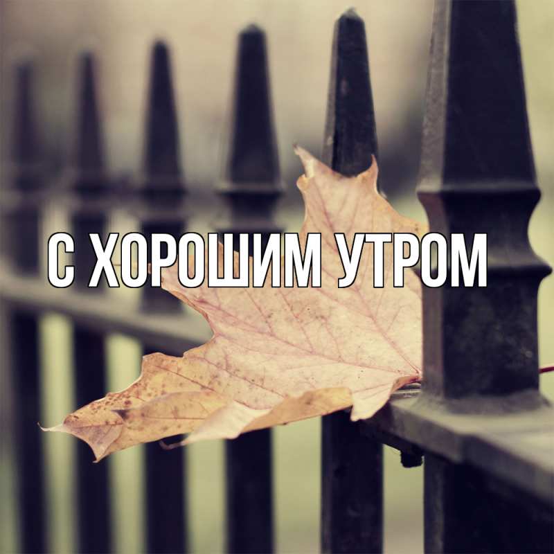 Картинка Скучашки, Дилара