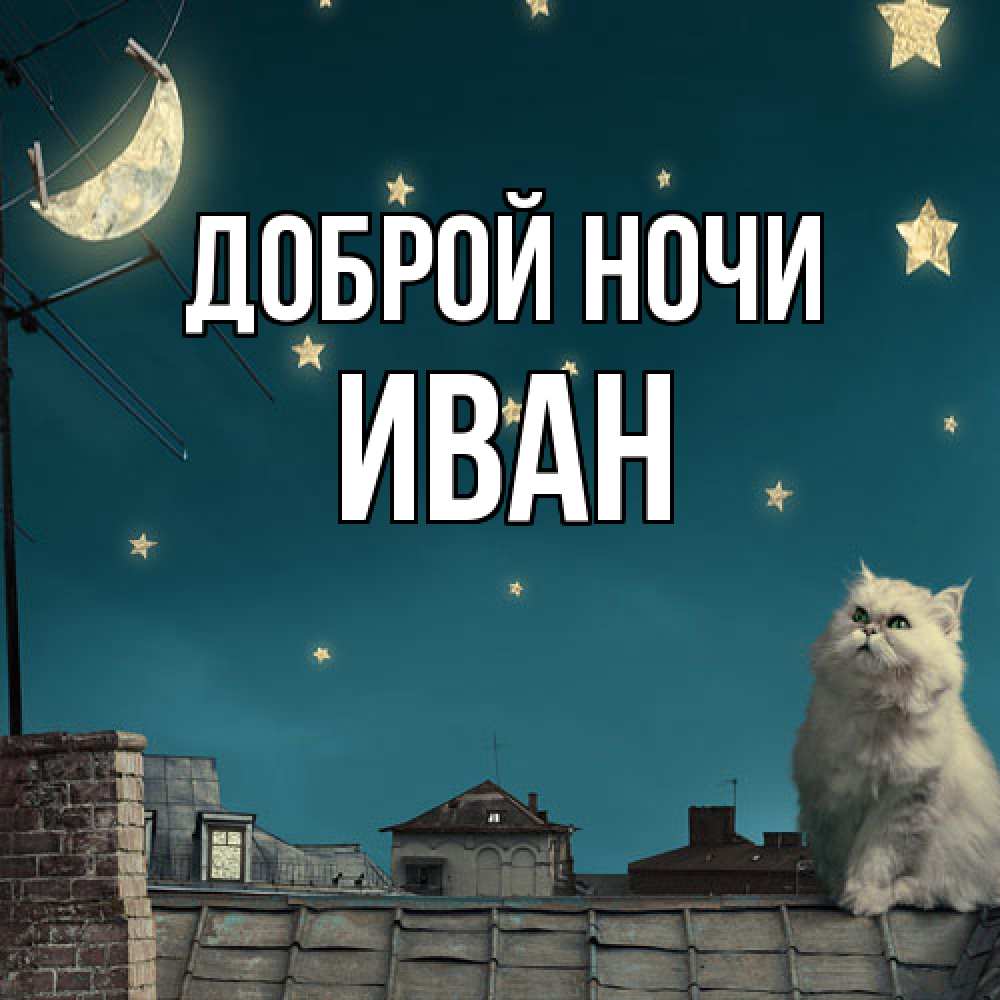 Открытка на каждый день с именем, Иван Доброй ночи белый кот сидит на крыше Прикольная открытка с пожеланием онлайн скачать бесплатно 