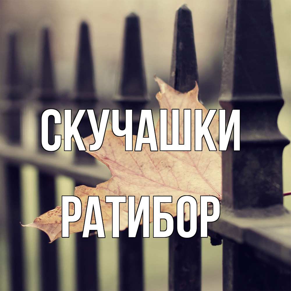 Открытка на каждый день с именем, Ратибор Скучашки очень скучно Прикольная открытка с пожеланием онлайн скачать бесплатно 