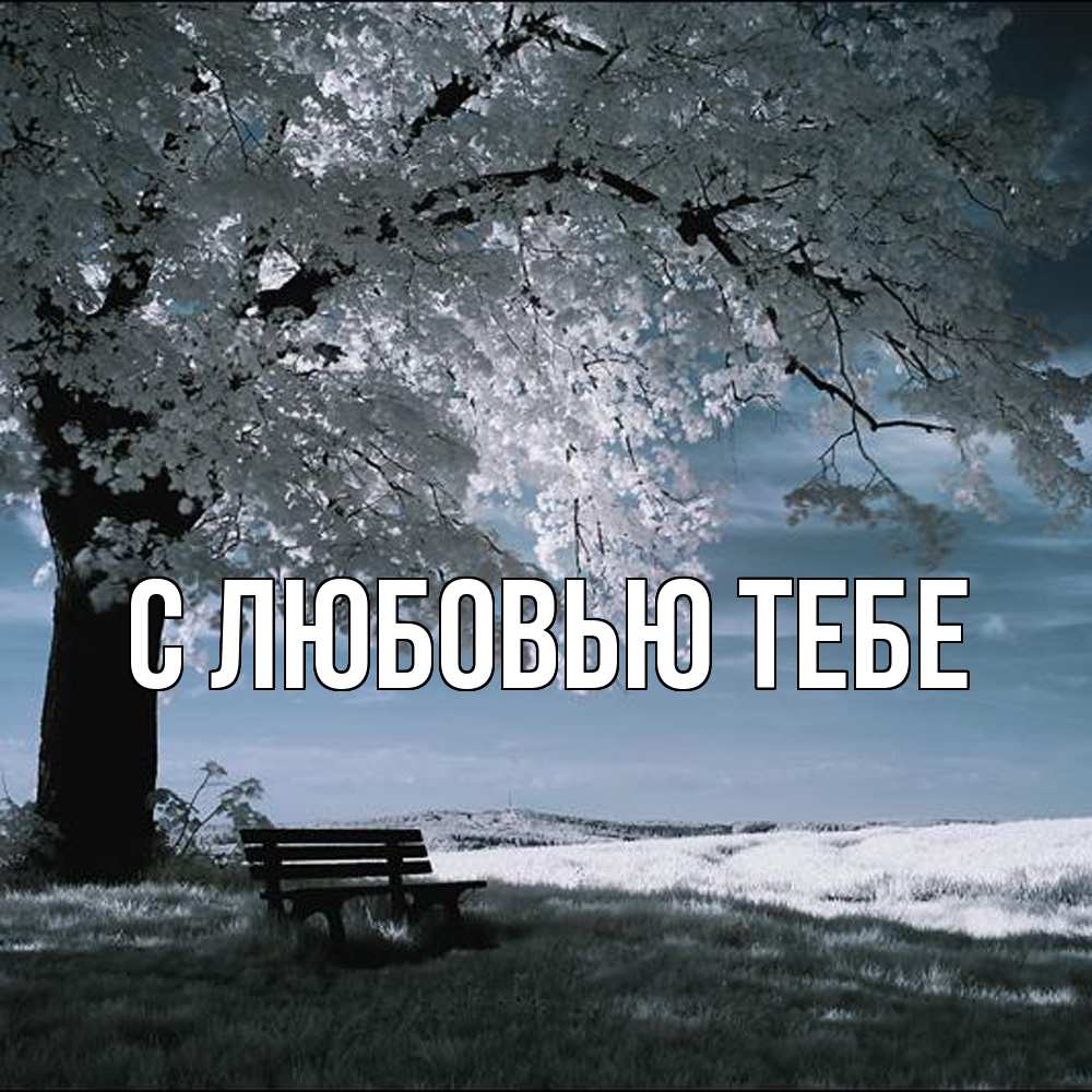 Открытка на каждый день с именем, Лёня Обнимашки дерево Прикольная открытка с пожеланием онлайн скачать бесплатно 