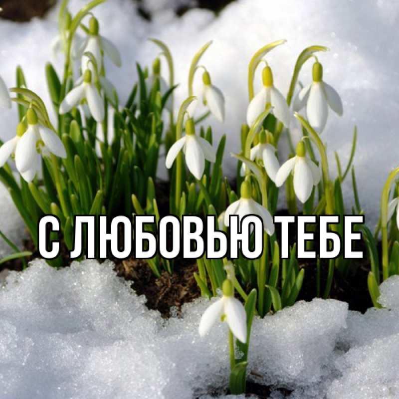 Картинка Люблю тебя, Аза