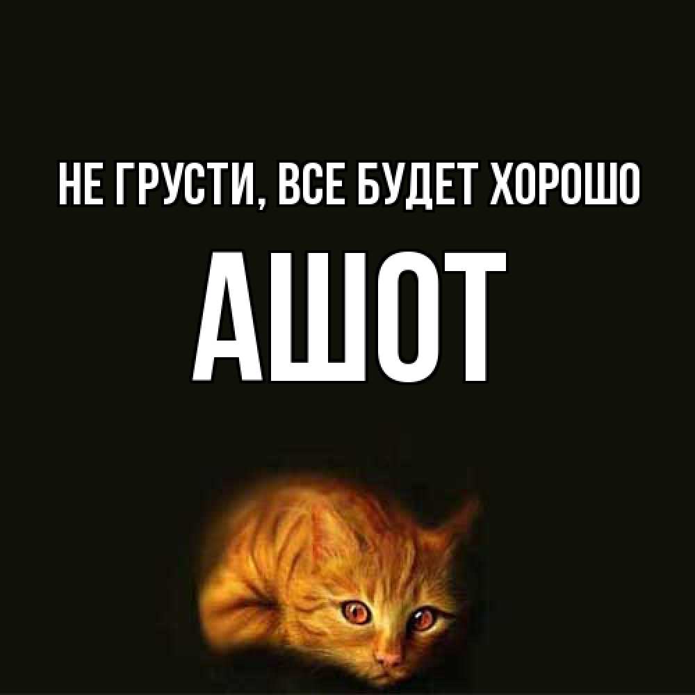 Открытка на каждый день с именем, Ашот Не грусти все будет хорошо лежащий кот в темноте Прикольная открытка с пожеланием онлайн скачать бесплатно 