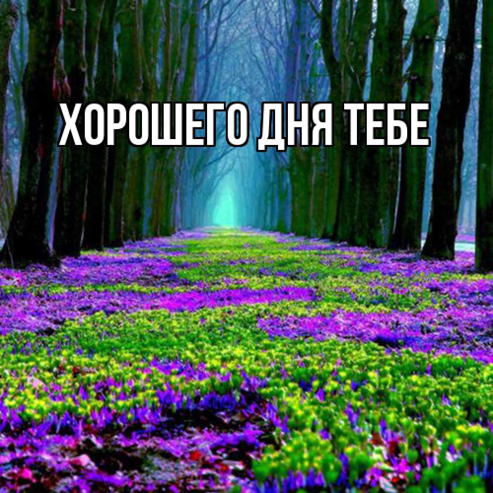 Открытка на каждый день с именем, Гастон Люблю тебя фиолетовые цветы в лесу 1 Прикольная открытка с пожеланием онлайн скачать бесплатно 