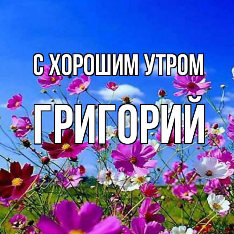Картинка С хорошим утром, Григорий