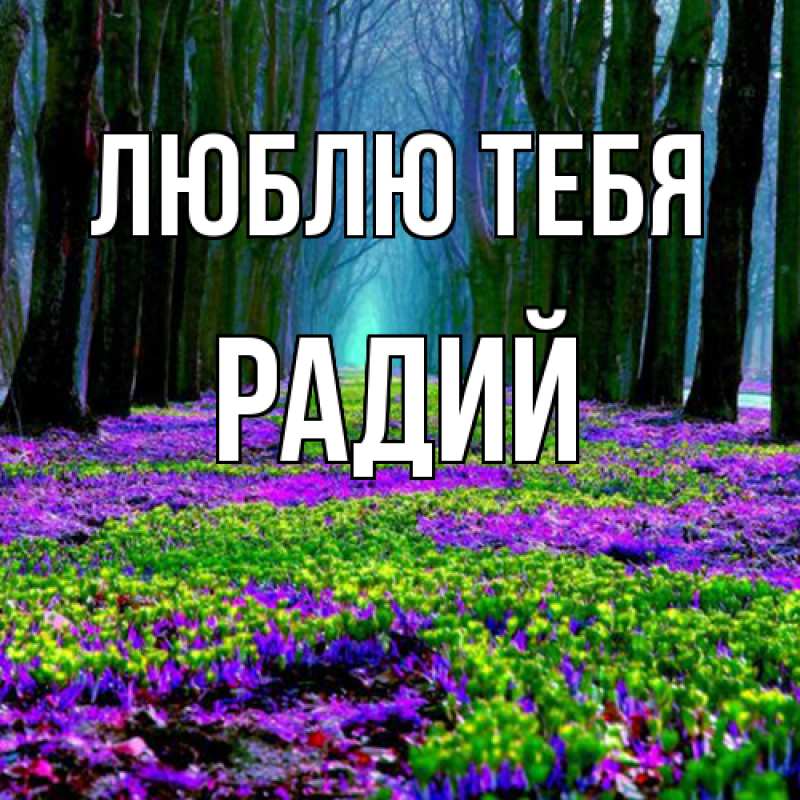 Картинка Люблю тебя, Радий