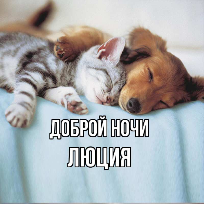 Картинка Доброй ночи, Люция