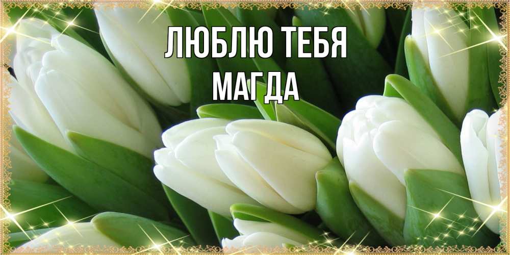 Открытка на каждый день с именем, Магда Люблю тебя поздравляем с 8 марта Прикольная открытка с пожеланием онлайн скачать бесплатно 