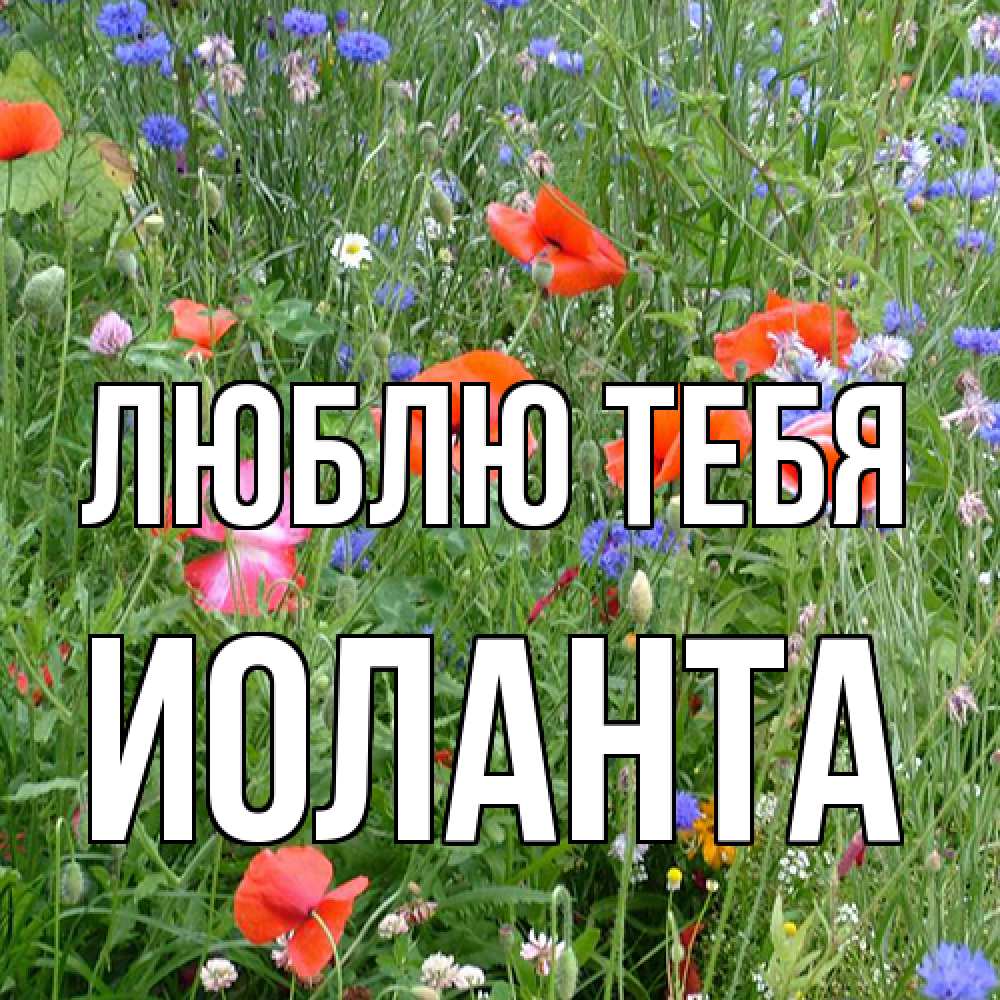 Открытка на каждый день с именем, Иоланта Люблю тебя международный женский день 4 Прикольная открытка с пожеланием онлайн скачать бесплатно 