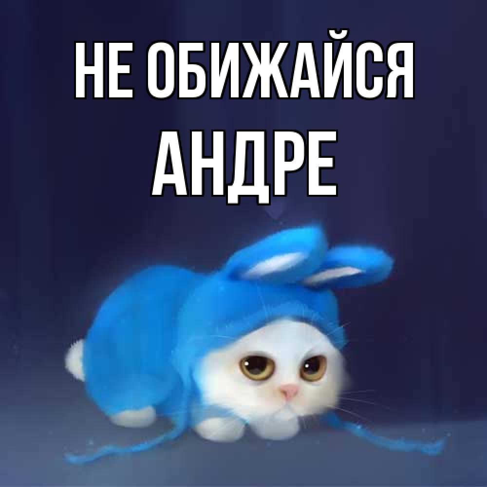 Открытка на каждый день с именем, Андре Не обижайся невинный котозай просит прощения Прикольная открытка с пожеланием онлайн скачать бесплатно 