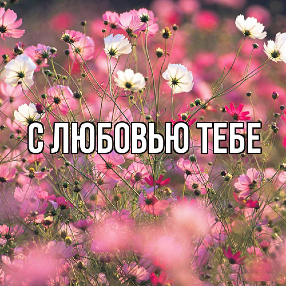 Открытка на каждый день с именем, Жан Люблю тебя красиво 1 Прикольная открытка с пожеланием онлайн скачать бесплатно 