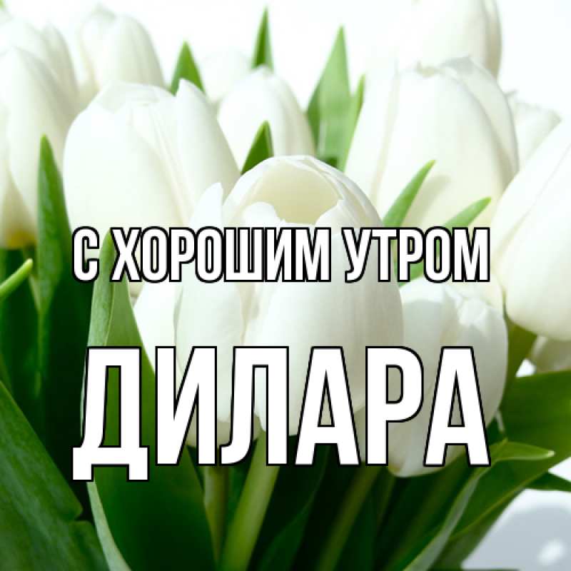 Картинка С хорошим утром, Дилара