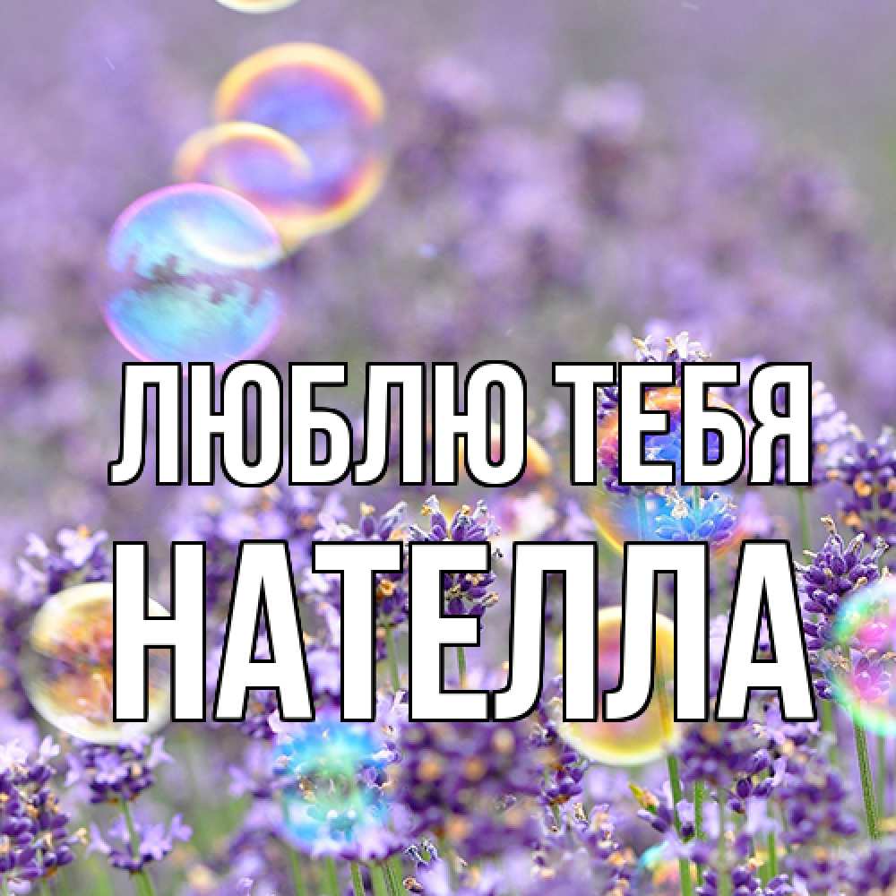 Открытка на каждый день с именем, Нателла Люблю тебя цветы Прикольная открытка с пожеланием онлайн скачать бесплатно 