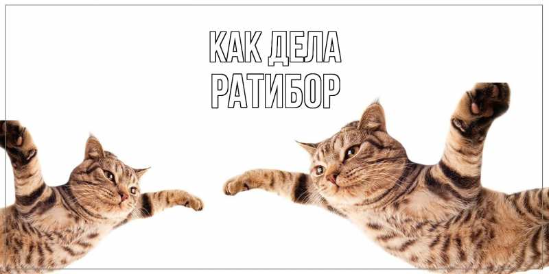 Картинка Как дела, Ратибор