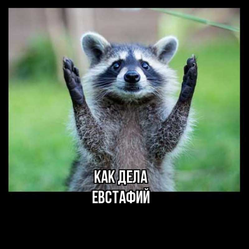 Картинка Как дела, Евстафий