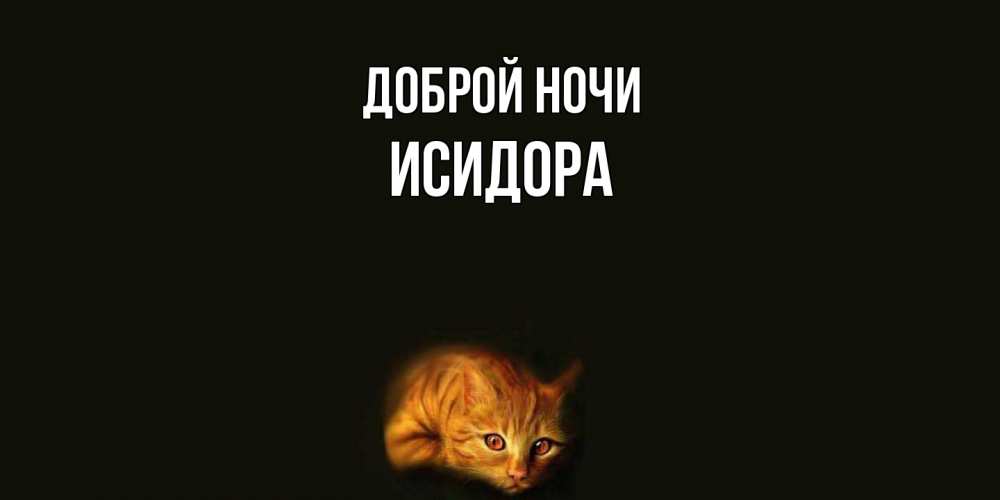 Открытка на каждый день с именем, Исидора Доброй ночи кот Прикольная открытка с пожеланием онлайн скачать бесплатно 