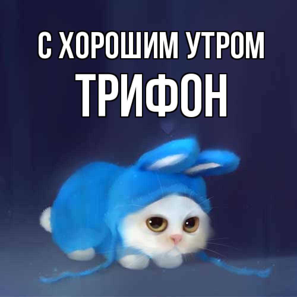 Открытка на каждый день с именем, Трифон С хорошим утром открытки красивые скачать бесплатно Прикольная открытка с пожеланием онлайн скачать бесплатно 
