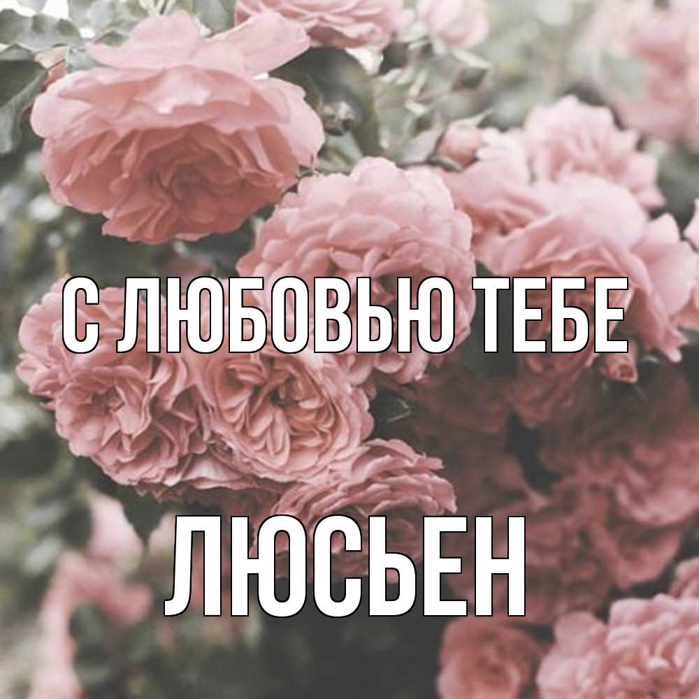 Открытка на каждый день с именем, Люсьен С любовью тебе розы 3 Прикольная открытка с пожеланием онлайн скачать бесплатно 