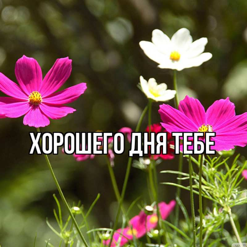 Картинка Люблю тебя, Измаил