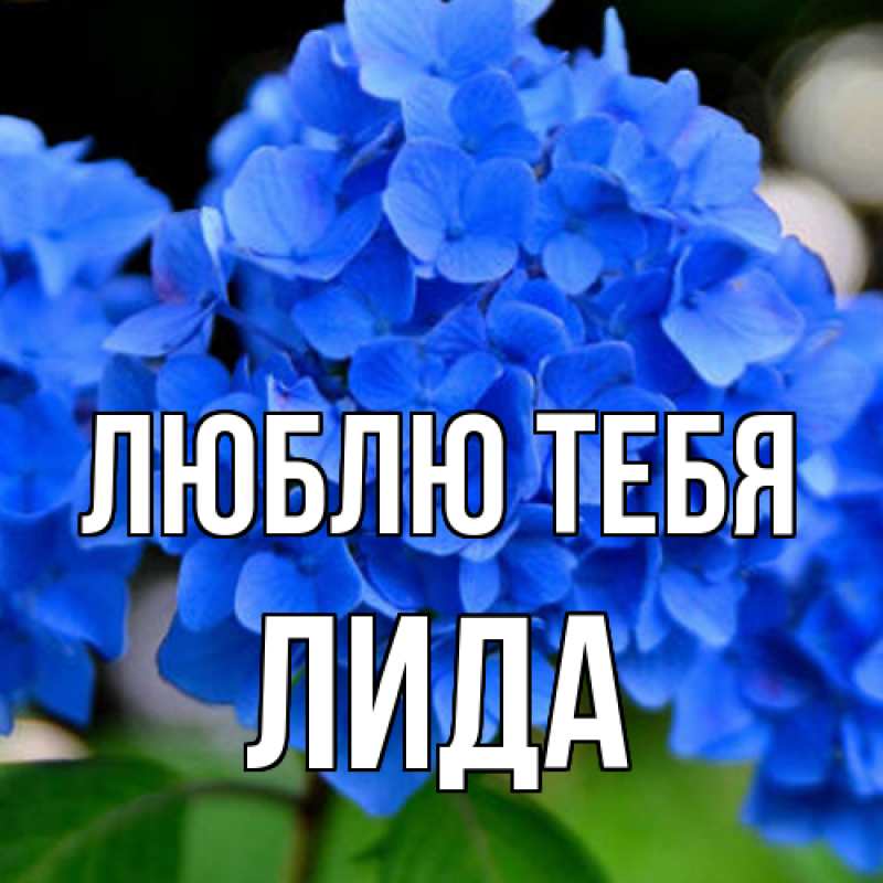 Картинка Люблю тебя, Лида