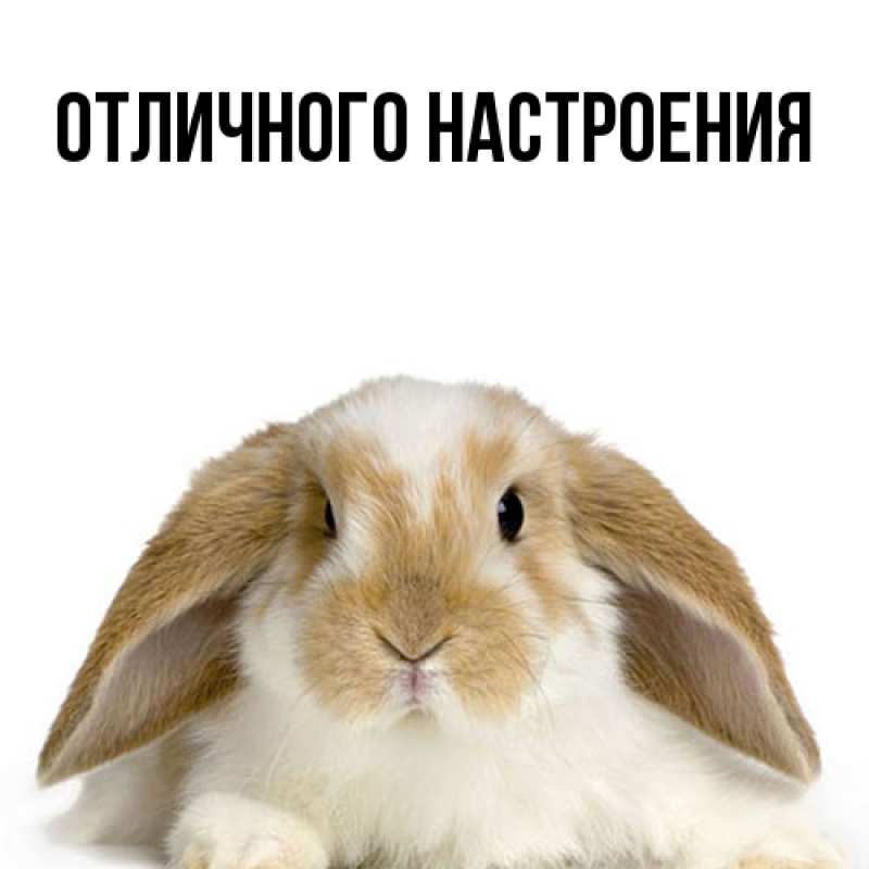 Картинка Большое спасибо, Лида