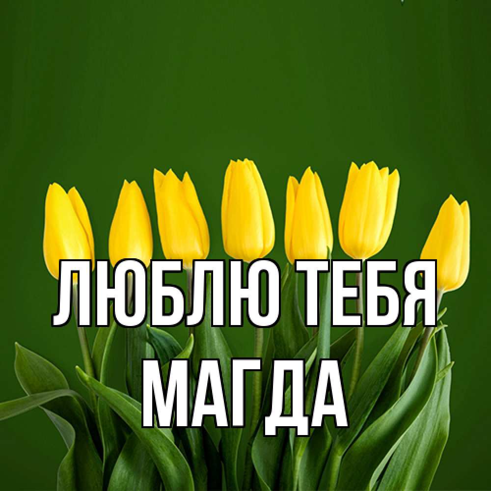 Открытка на каждый день с именем, Магда Люблю тебя желтого цвета 3 Прикольная открытка с пожеланием онлайн скачать бесплатно 