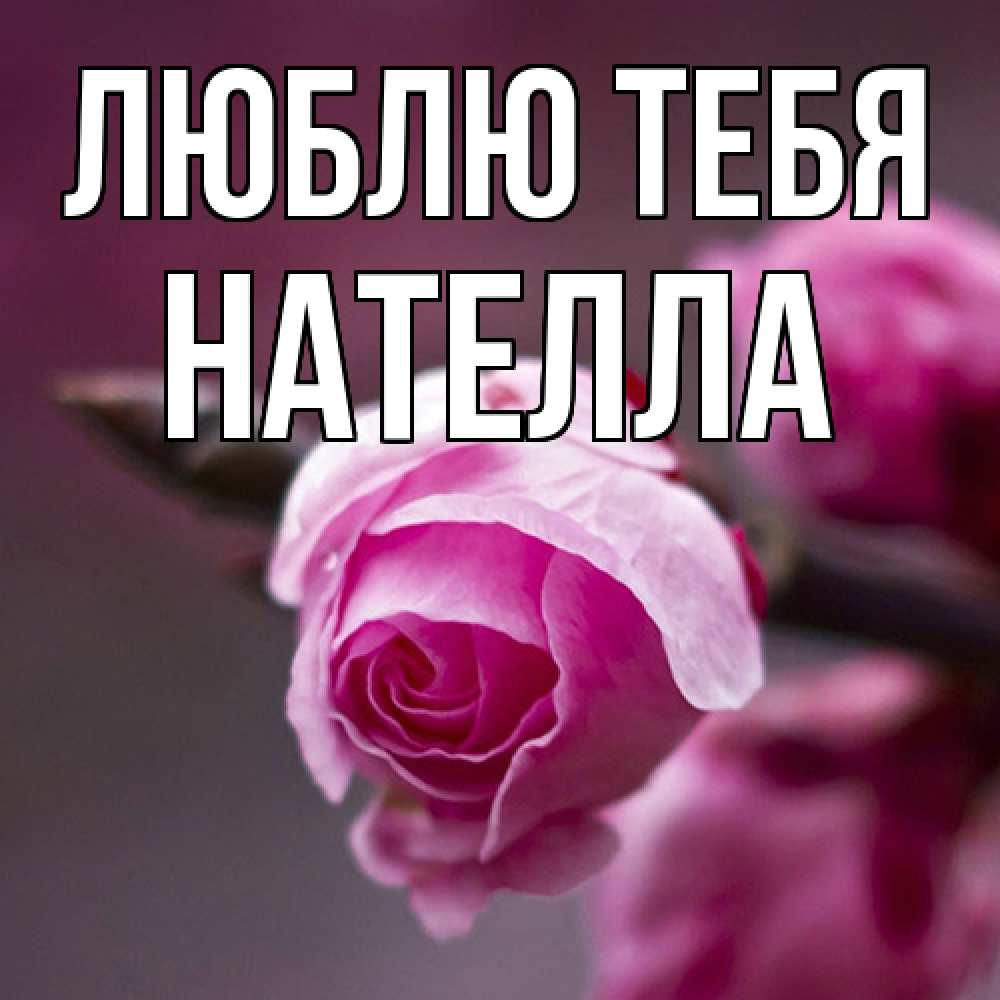 Открытка на каждый день с именем, Нателла Люблю тебя весна Прикольная открытка с пожеланием онлайн скачать бесплатно 