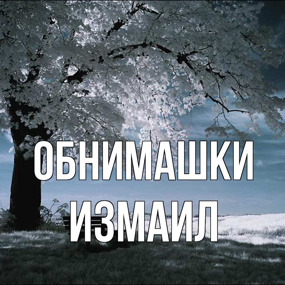 Открытка на каждый день с именем, Измаил Обнимашки дерево Прикольная открытка с пожеланием онлайн скачать бесплатно 