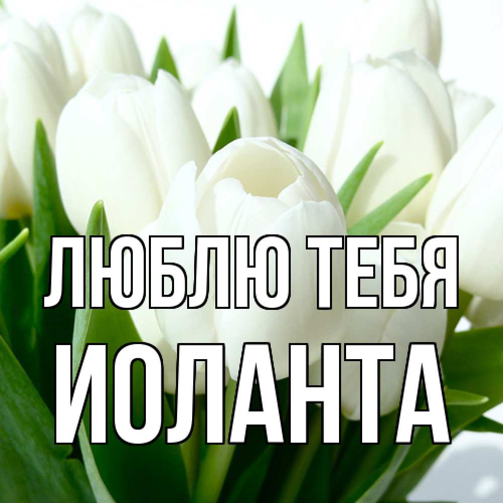 Открытка на каждый день с именем, Иоланта Люблю тебя цветы Прикольная открытка с пожеланием онлайн скачать бесплатно 