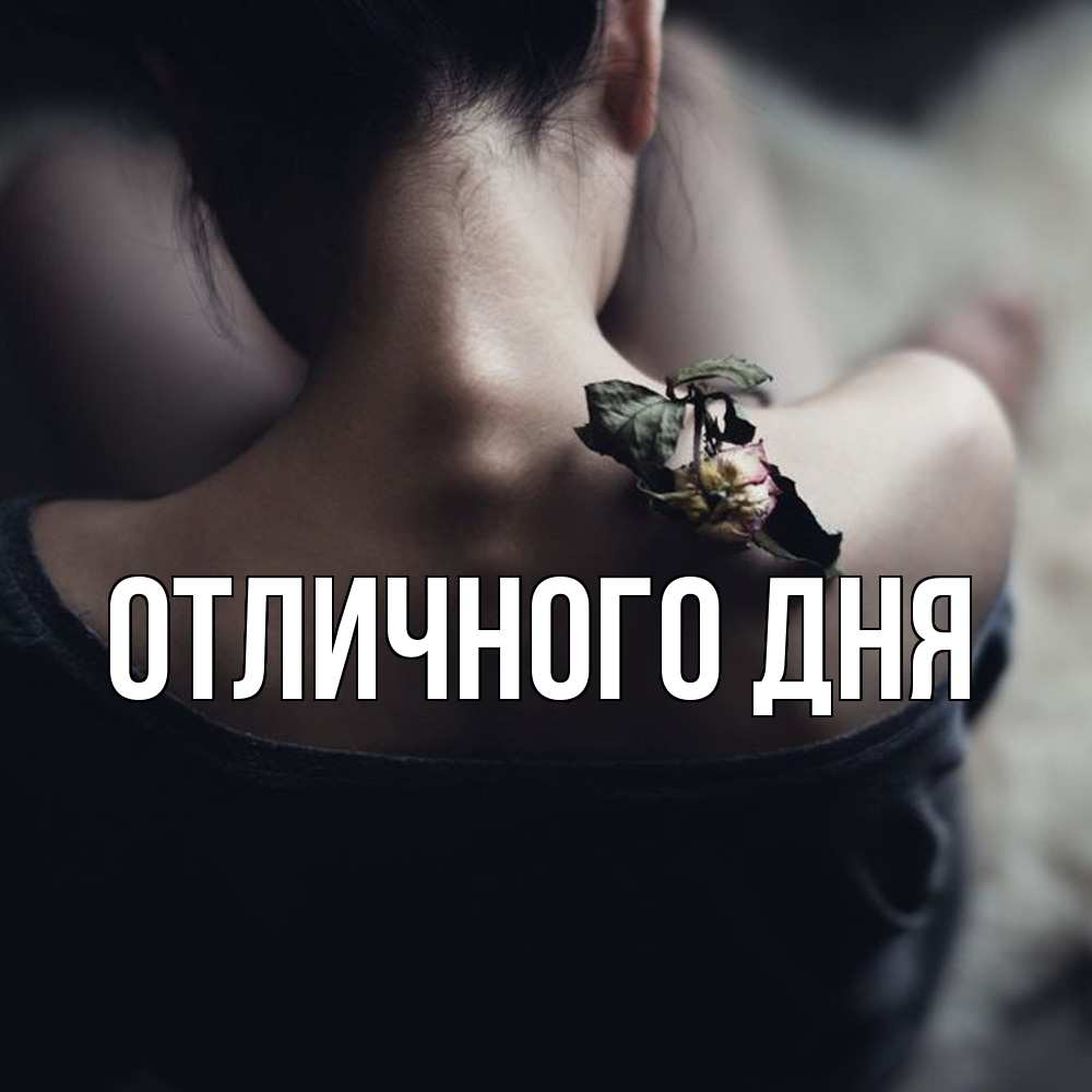 Открытка на каждый день с именем, Леся Скучашки засох цветок Прикольная открытка с пожеланием онлайн скачать бесплатно 