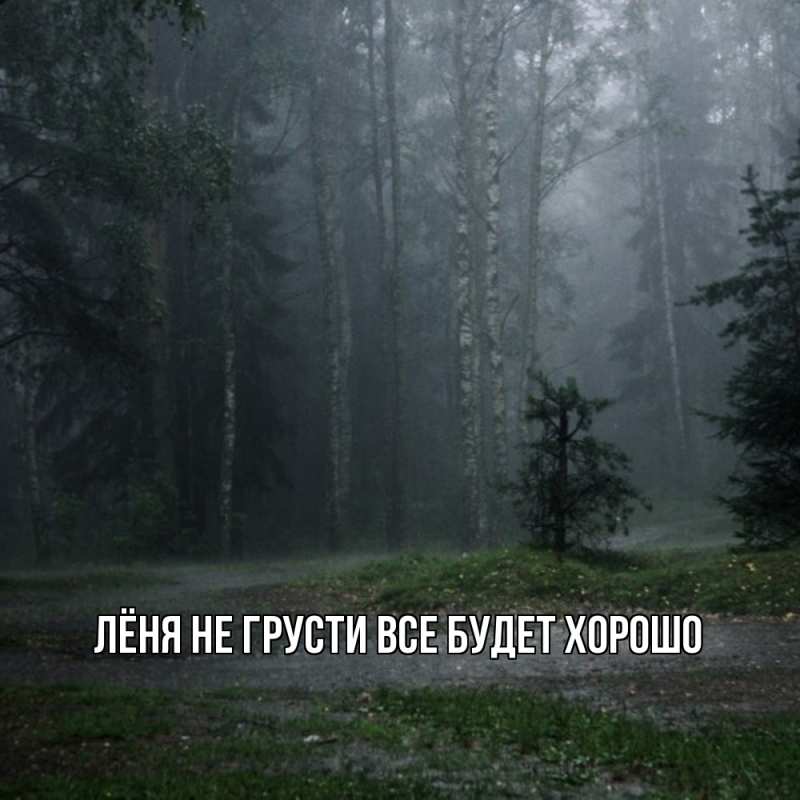 Картинка Не грусти, все будет хорошо, Лёня
