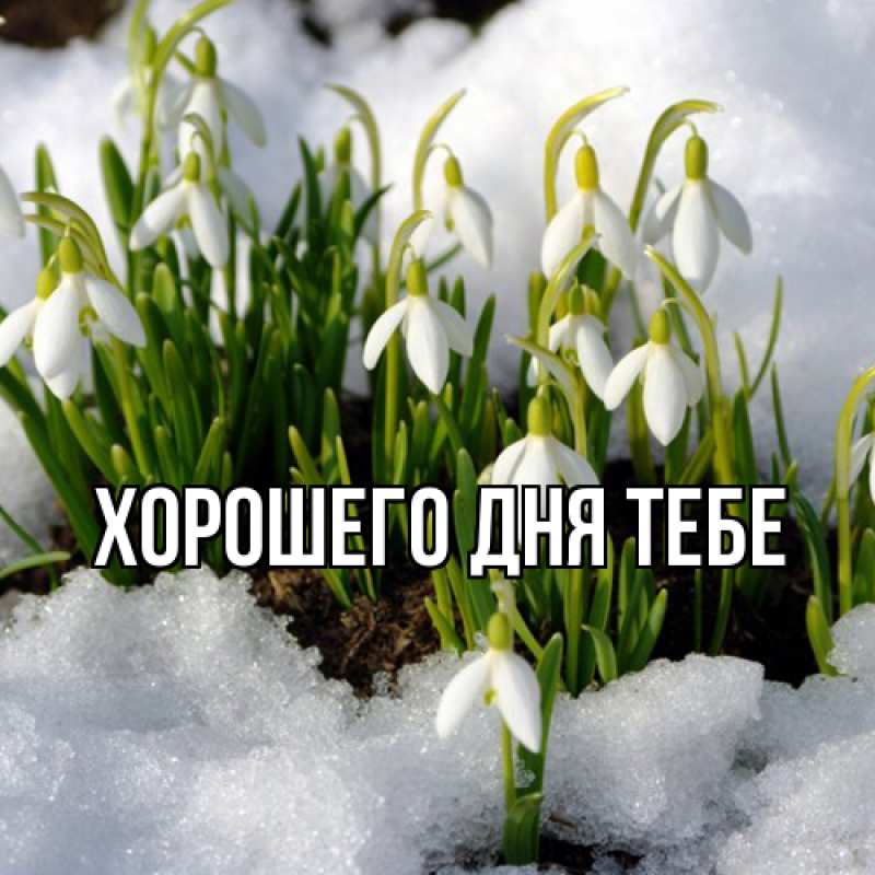 Картинка Люблю тебя, Измаил