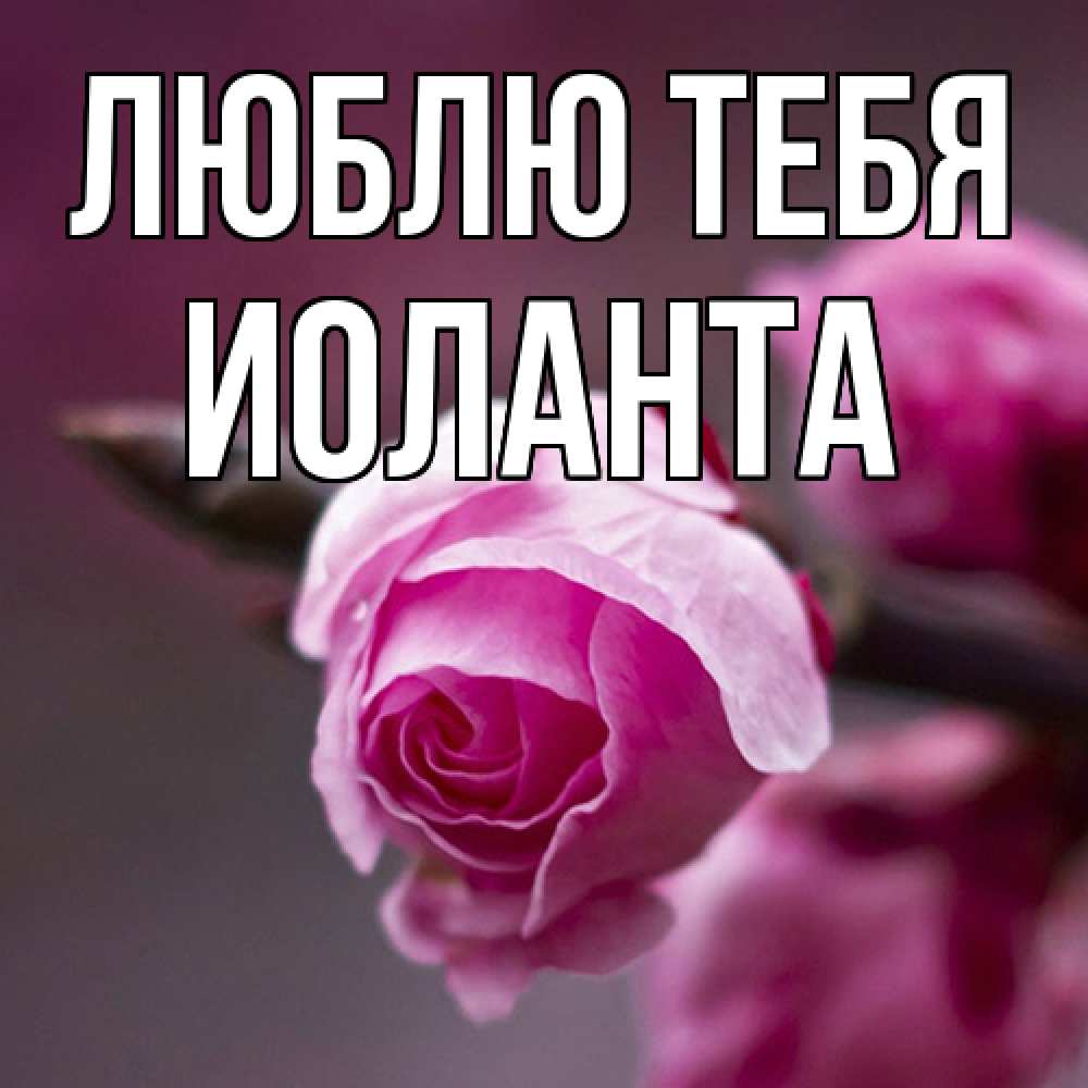 Открытка на каждый день с именем, Иоланта Люблю тебя весна Прикольная открытка с пожеланием онлайн скачать бесплатно 