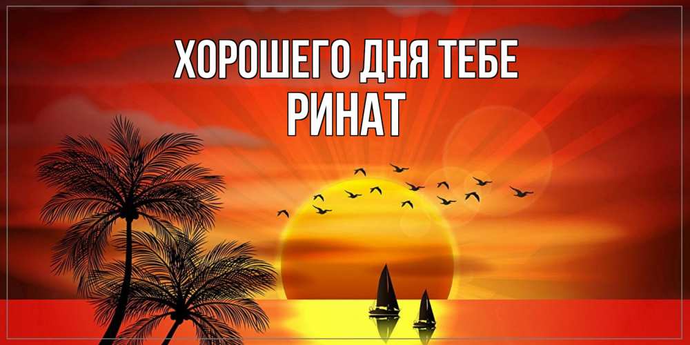Открытка на каждый день с именем, Ринат Хорошего дня тебе открытки с пожеланиями хорошего дня Прикольная открытка с пожеланием онлайн скачать бесплатно 