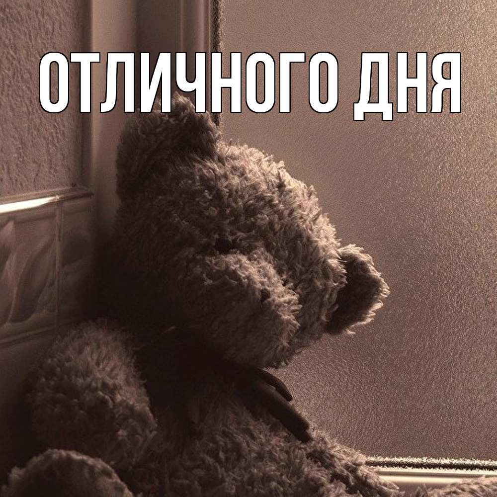 Открытка на каждый день с именем, Леся Скучашки скучаем тут Прикольная открытка с пожеланием онлайн скачать бесплатно 