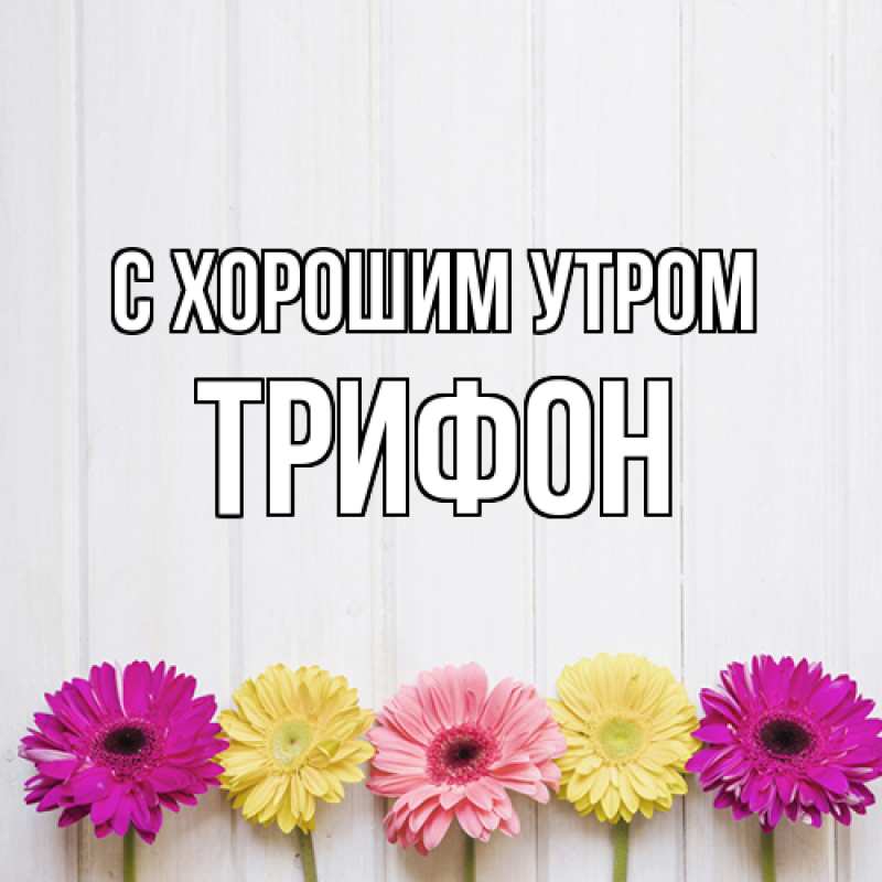 Картинка С хорошим утром, Трифон