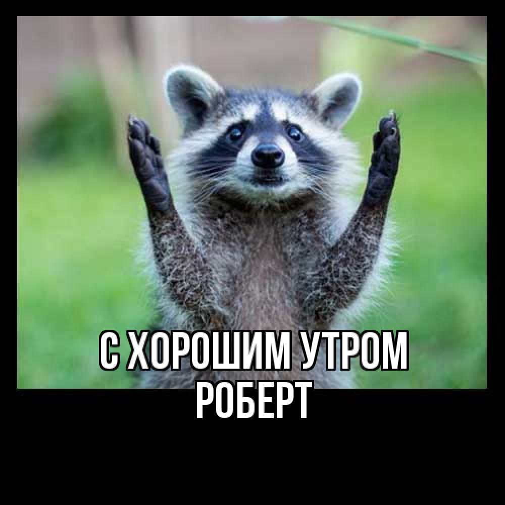 Открытка на каждый день с именем, Роберт С хорошим утром хорошее настроение утречком Прикольная открытка с пожеланием онлайн скачать бесплатно 