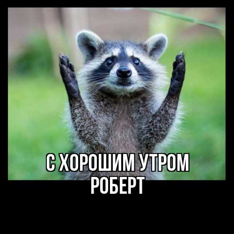 Картинка С хорошим утром, Роберт
