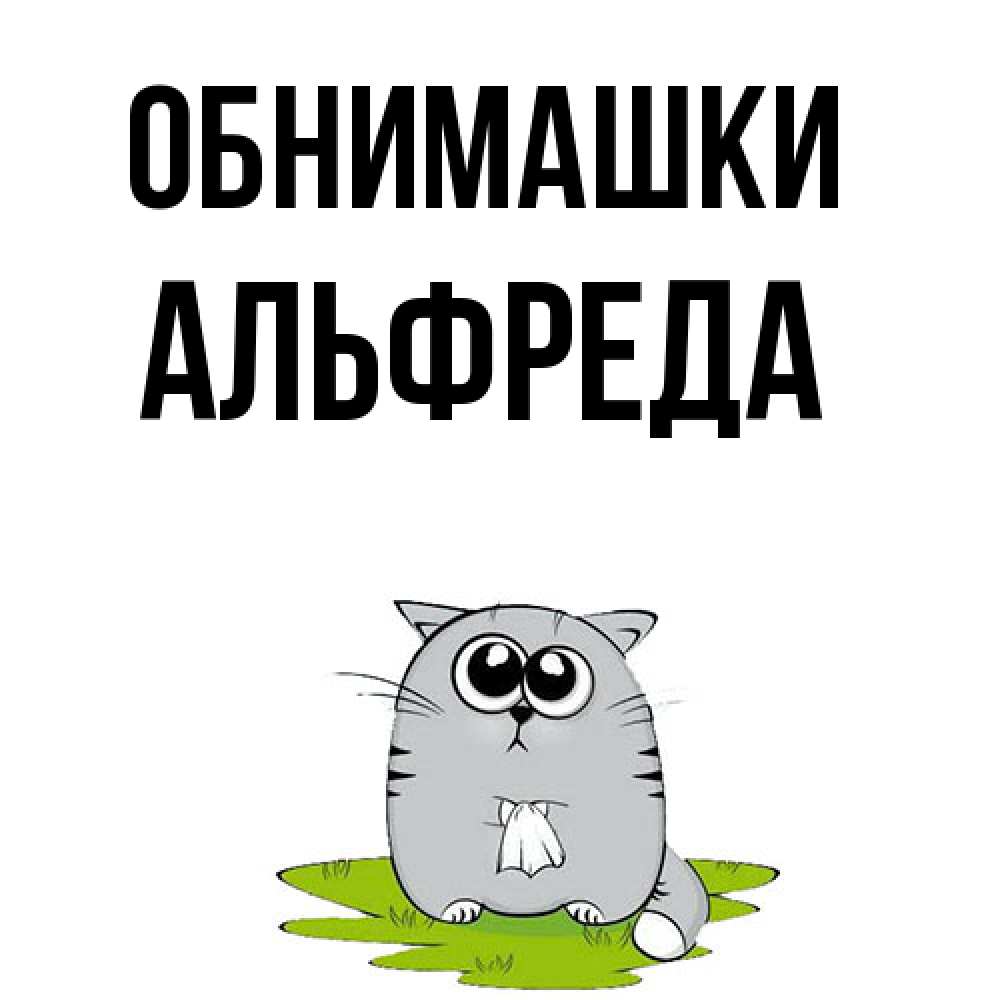 Открытка на каждый день с именем, Альфреда Обнимашки котик теребит платочек сидя на травке Прикольная открытка с пожеланием онлайн скачать бесплатно 