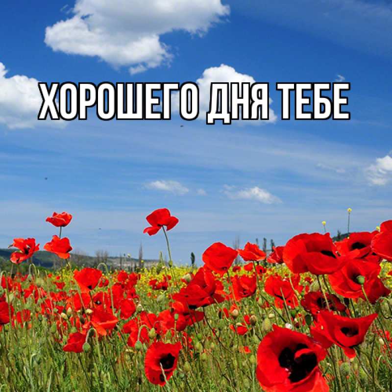 Картинка Люблю тебя, Измаил