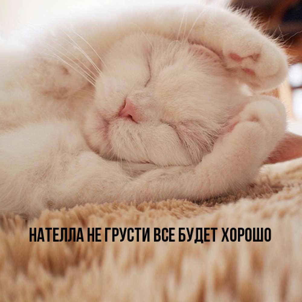 Открытка на каждый день с именем, Нателла Не грусти все будет хорошо Котенок спит Прикольная открытка с пожеланием онлайн скачать бесплатно 