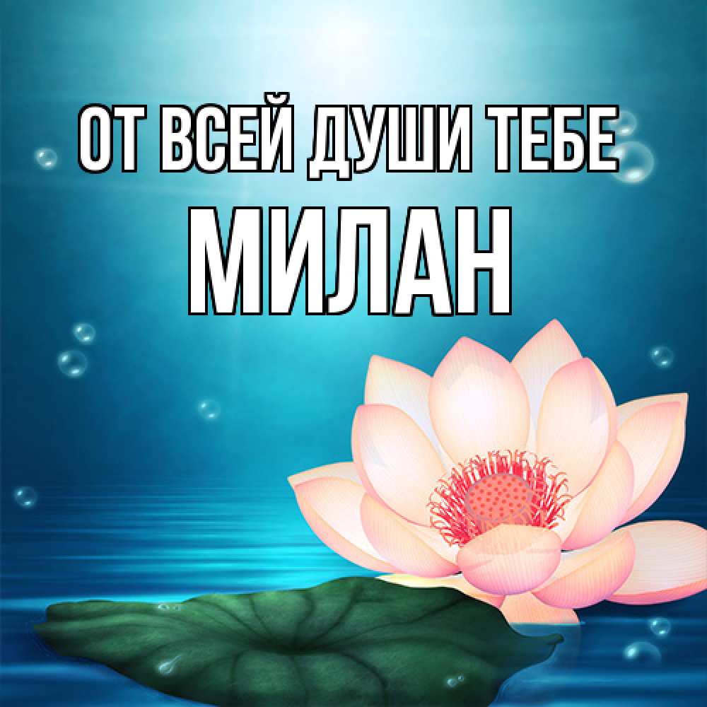 Открытка на каждый день с именем, Милан От всей души тебе кувшинка Прикольная открытка с пожеланием онлайн скачать бесплатно 