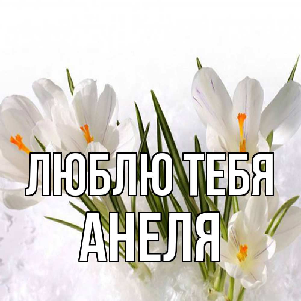Открытка на каждый день с именем, Анеля Люблю тебя под снегом Прикольная открытка с пожеланием онлайн скачать бесплатно 