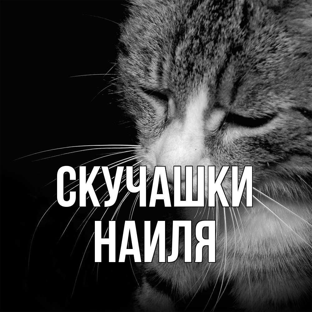 Открытка на каждый день с именем, Наиля Скучашки мне скучно Прикольная открытка с пожеланием онлайн скачать бесплатно 