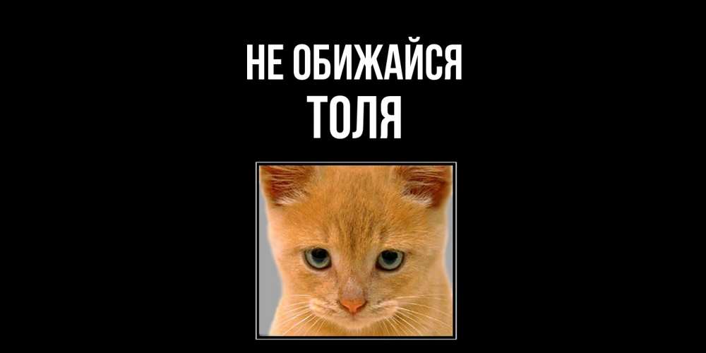 Открытка на каждый день с именем, Толя Не обижайся рыжий грустный кот просит прощения Прикольная открытка с пожеланием онлайн скачать бесплатно 