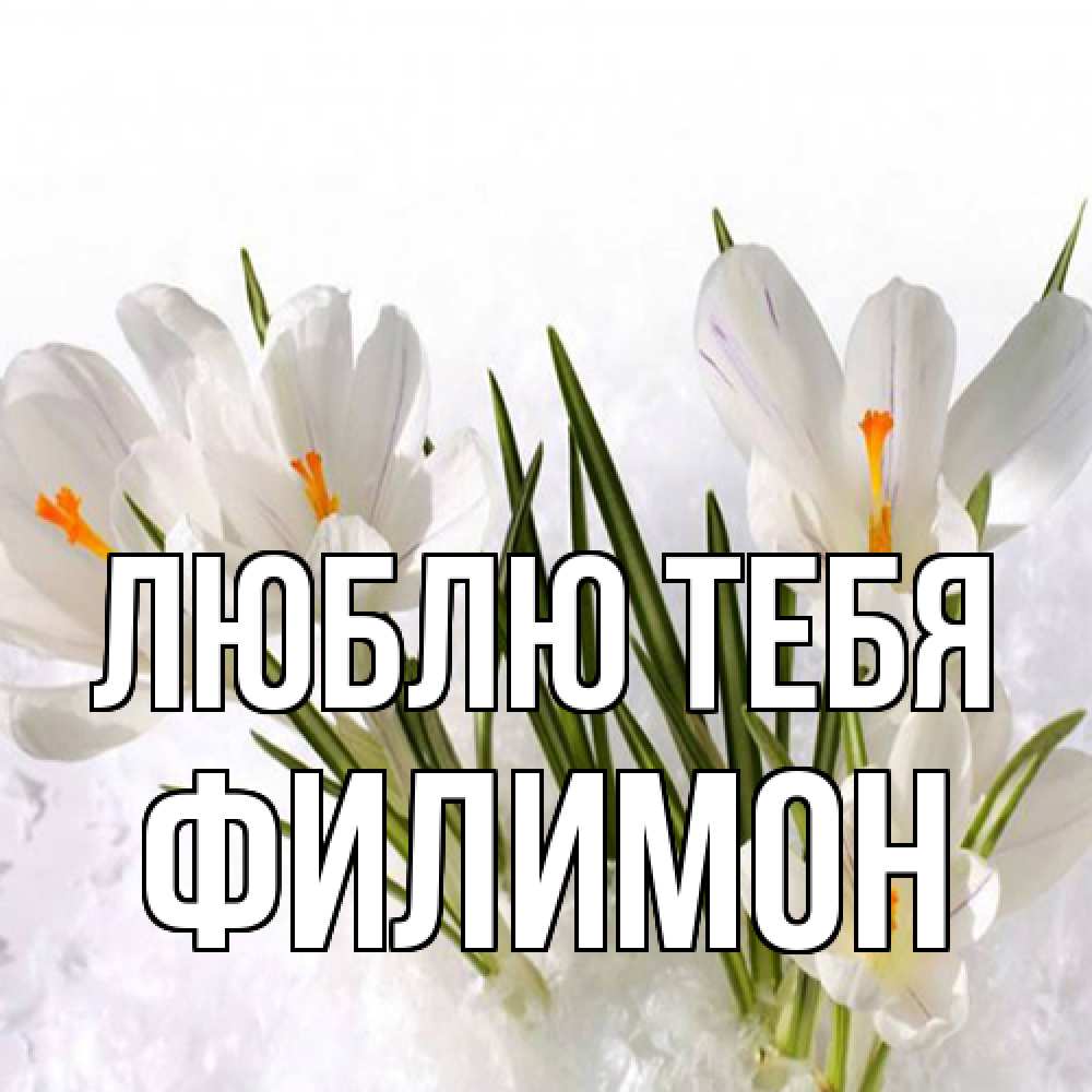 Открытка на каждый день с именем, Филимон Люблю тебя под снегом Прикольная открытка с пожеланием онлайн скачать бесплатно 