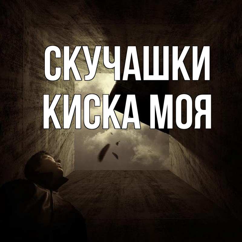 Картинка Скучашки, Киска моя